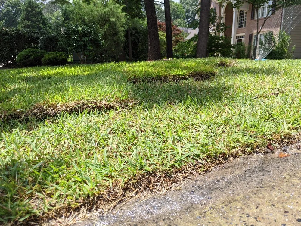 Affordable yard maintenance experts serving Holly Springs, NC - Peak Sodding
