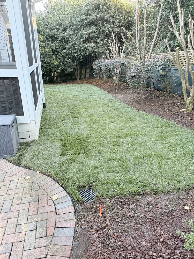 Local outdoor landscaping for homes in Holly Springs, NC by Peak Sodding