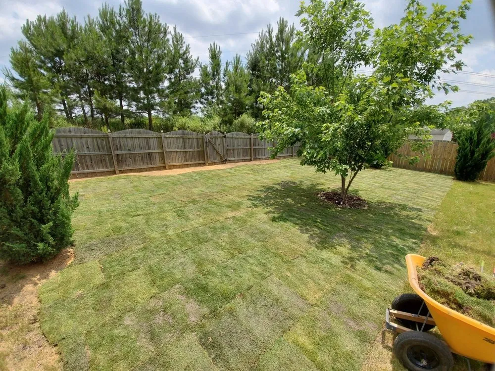 Expert yard cleanup service in Holly Springs, NC - Peak Sodding