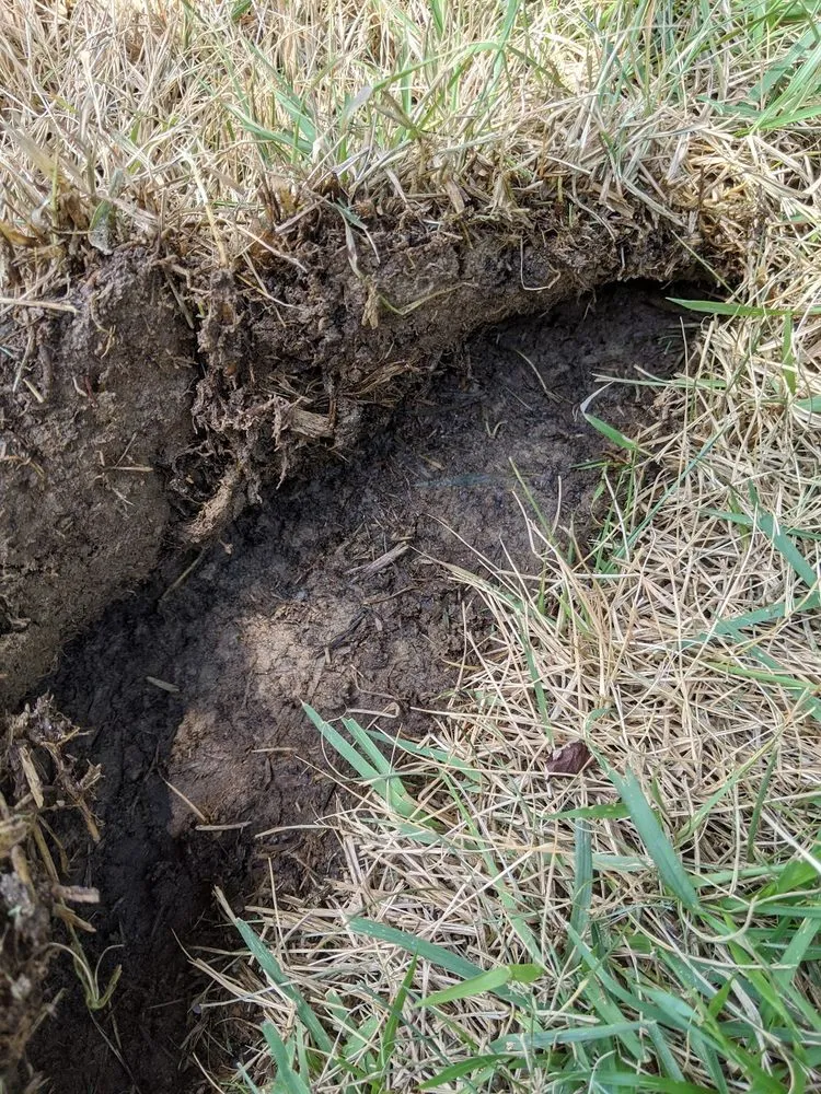 Top-rated outdoor landscaping in Holly Springs, NC - Peak Sodding