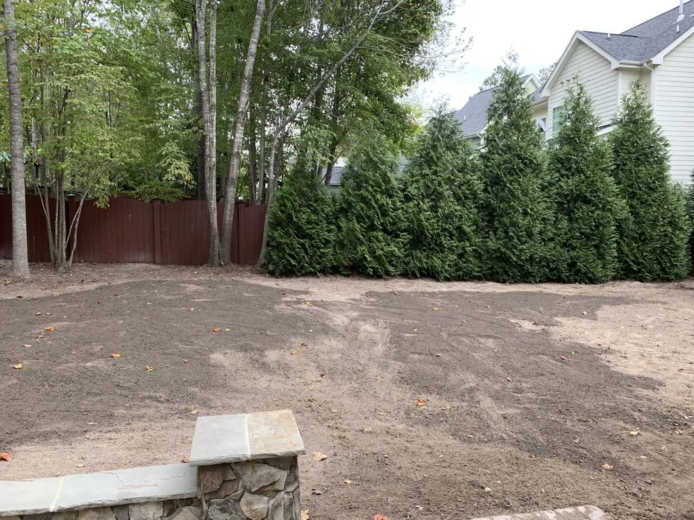 Top-rated yard maintenance for residential properties across Holly Springs, NC - Peak Sodding