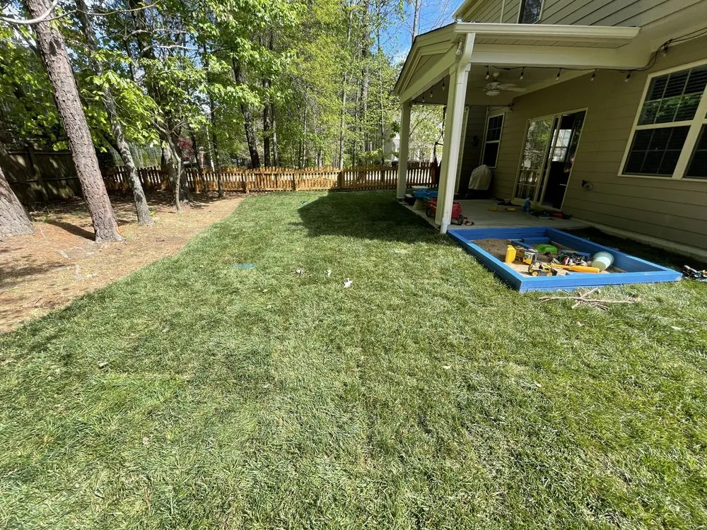 Reliable outdoor landscaping in Holly Springs, NC - Peak Sodding