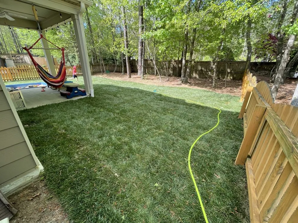 Affordable yard cleanup service in Holly Springs, NC by Peak Sodding