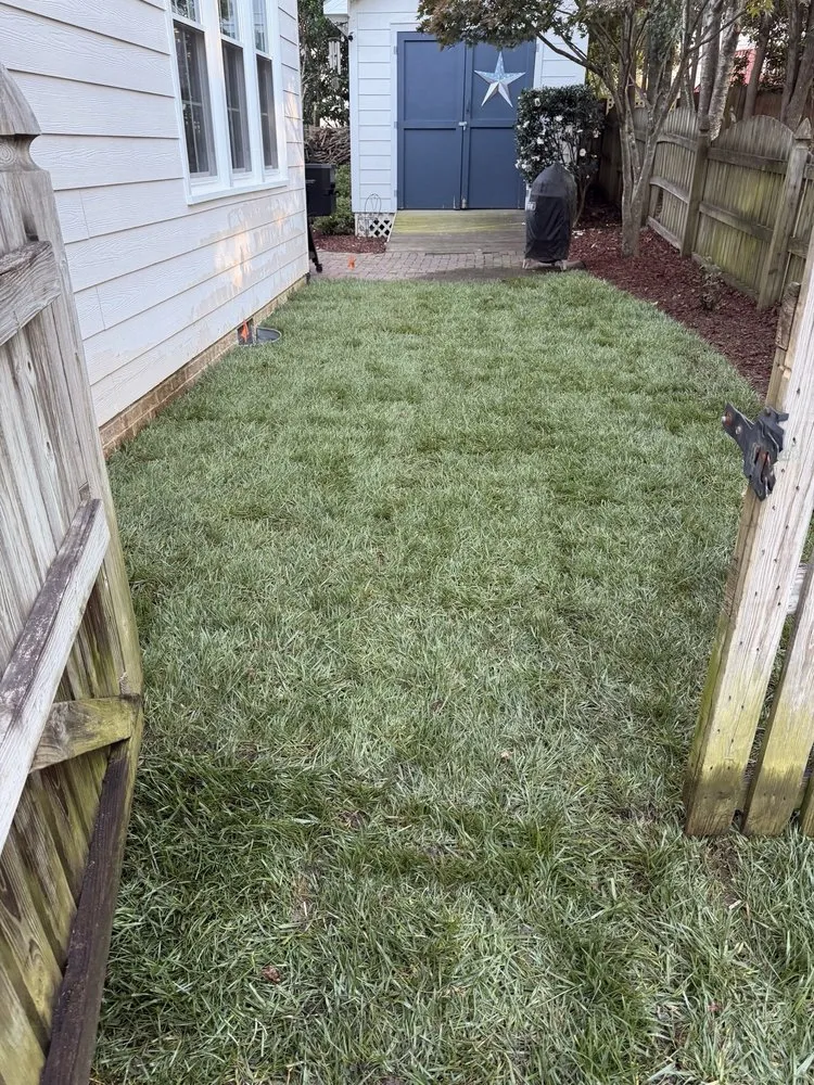 Custom landscape installation experts serving Holly Springs, NC - Peak Sodding