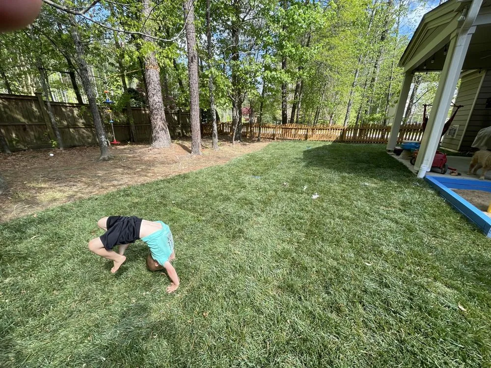 Professional yard cleanup service in Holly Springs, NC - Peak Sodding