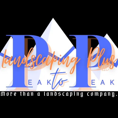 Affordable yard cleanup service for residential properties in Grand Junction, CO by Peak to Peak Landscaping Plus