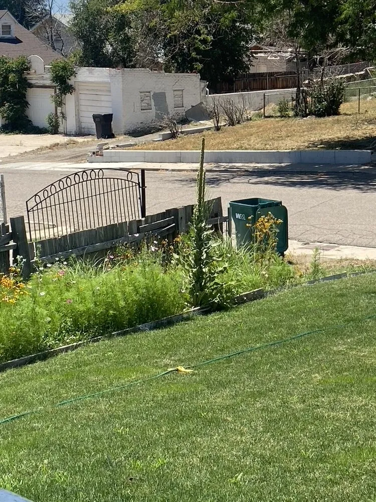 Custom lawn mowing service near you across Pueblo, CO - Peak to Prairie Lawn Care