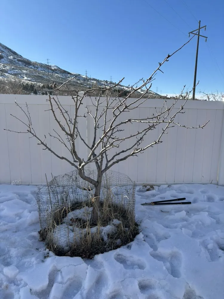 Expert garden landscaping for outdoor upgrades in Brigham City, UT by Peak Utah Landscaping