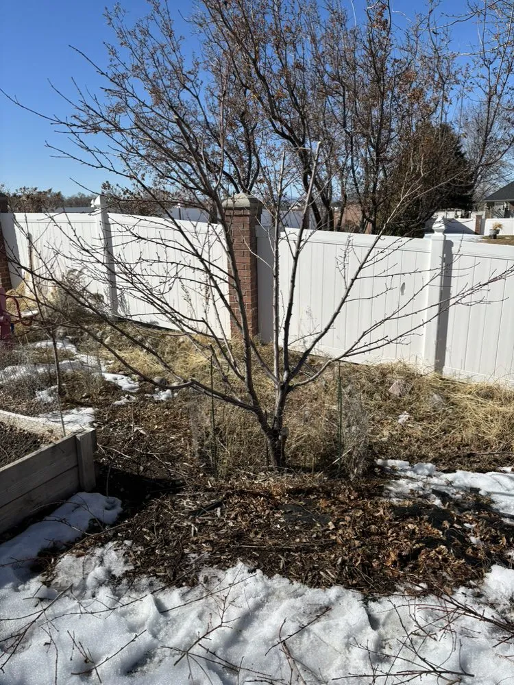 Expert landscaping services with custom design in Brigham City, UT by Peak Utah Landscaping