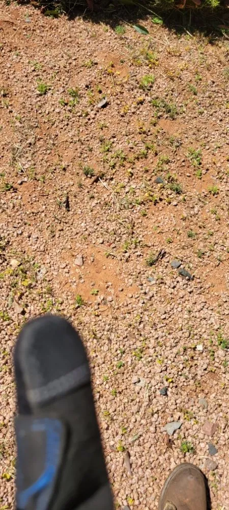 Top-rated lawn care service experts serving Prescott Valley, AZ - Peak View Landscaping And Junk Removal