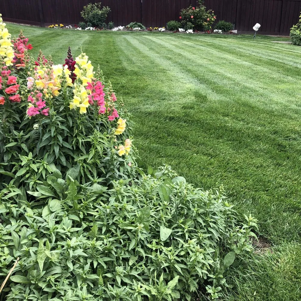 Top-rated garden landscaping with custom design across Pleasant Grove, UT - Peak Yard Care