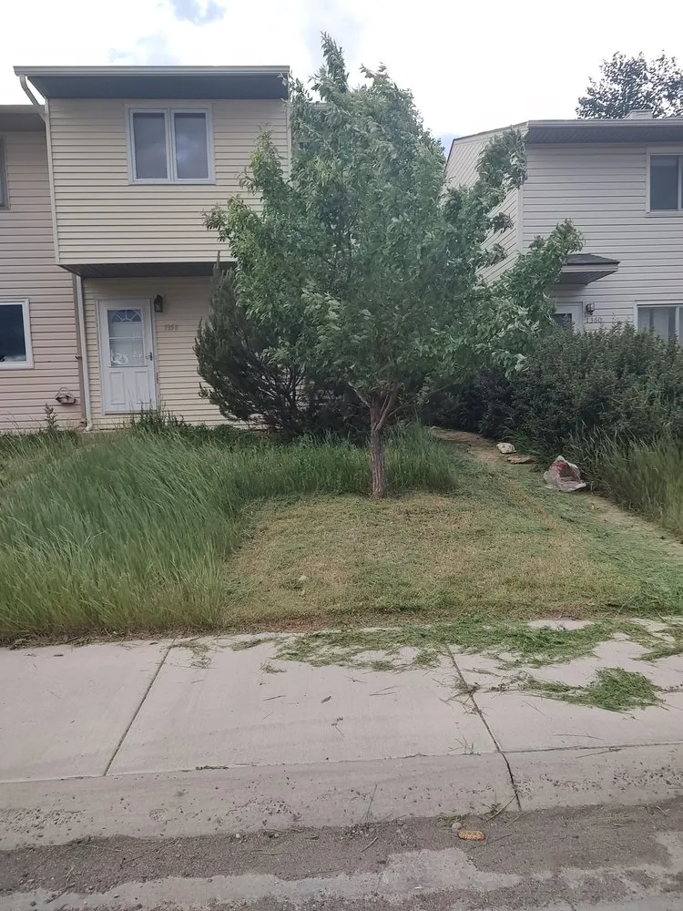 Reliable yard maintenance in Laramie, WY by Peakboy's Property Clean Up