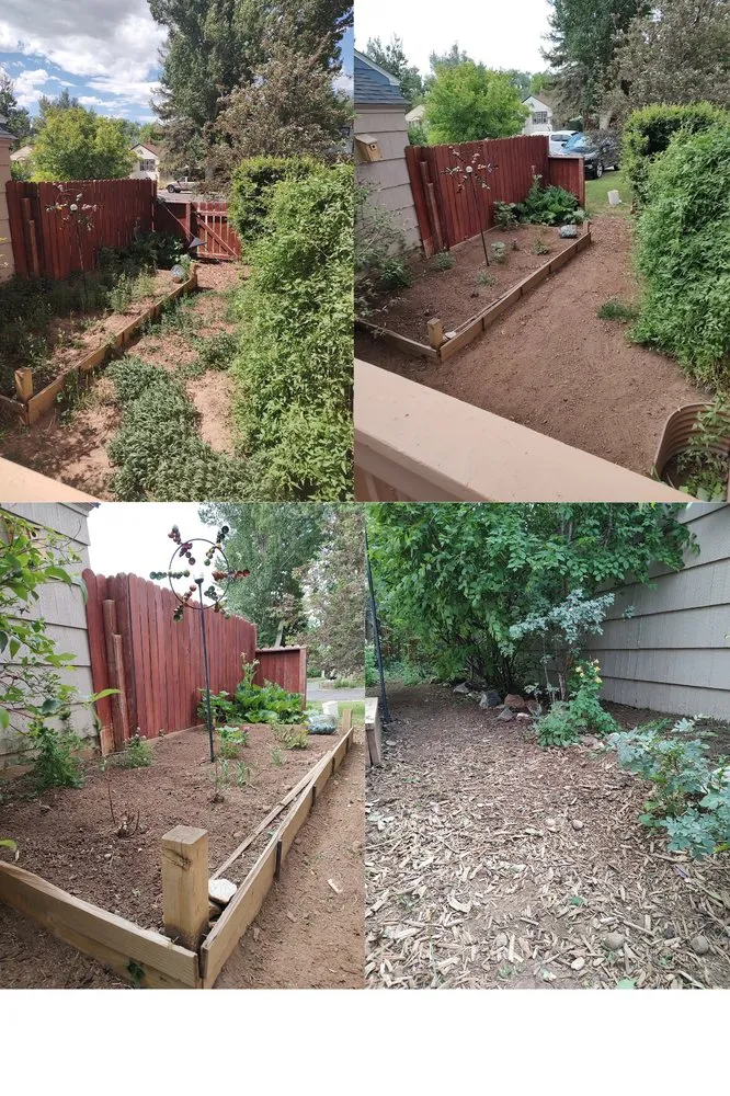 Reliable landscaping services experts serving Laramie, WY - Peakboy's Property Clean Up
