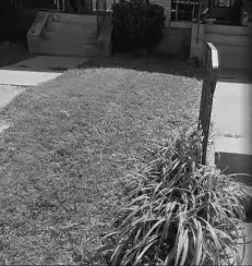 Top-rated outdoor landscaping in Pittsburgh, PA - Peaks Lawn Care