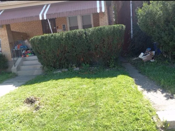 Expert lawn care service for year-round maintenance in Pittsburgh, PA by Peaks Lawn Care