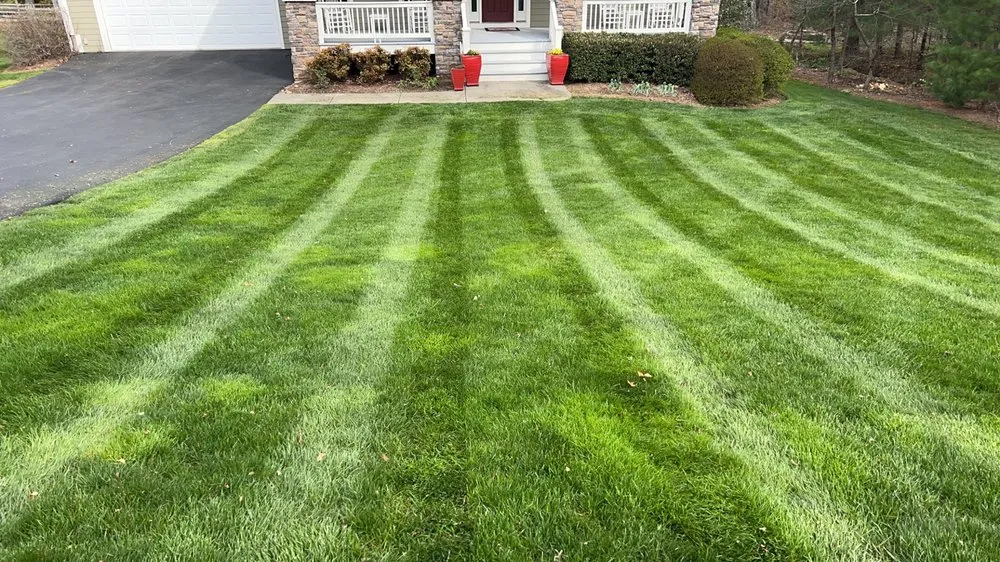 Reliable yard cleanup service experts serving Arden, NC - PeaksPro Landscaping
