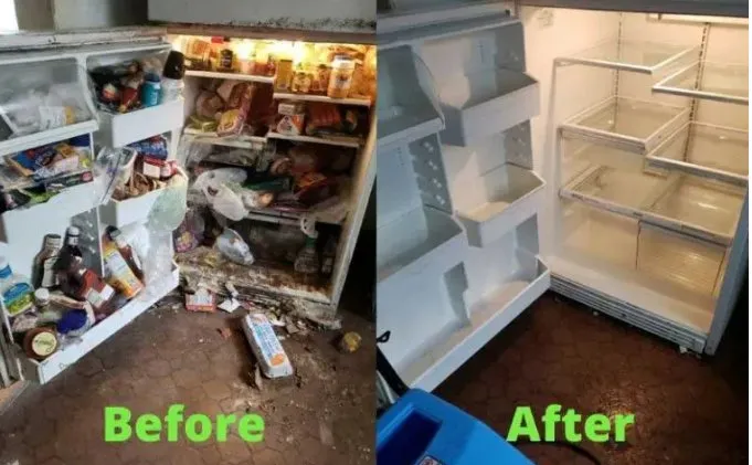 Trusted lawn mowing service near you across Trenton, NJ - Peanuts Kids Llc