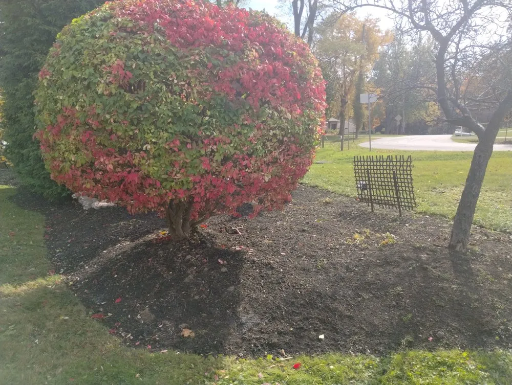 Expert lawn mowing service in Hamburg, NY - Pearce Pro Lawns