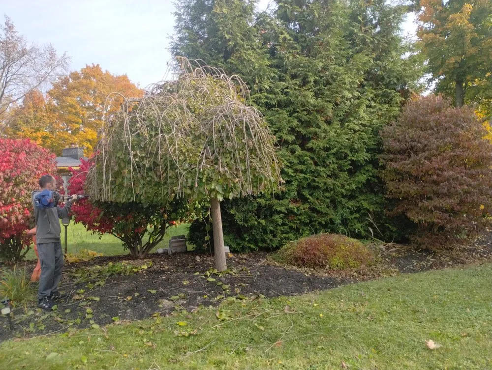 Expert residential landscaping with custom design in Hamburg, NY by Pearce Pro Lawns