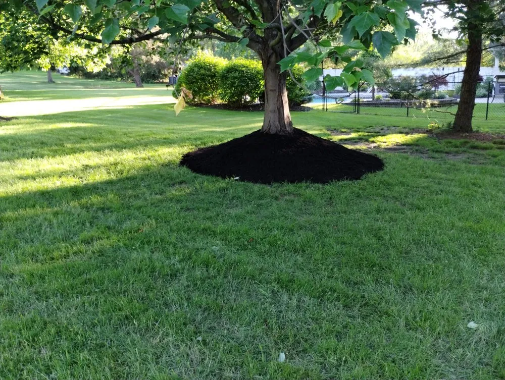Professional landscaping services in Hamburg, NY - Pearce Pro Lawns