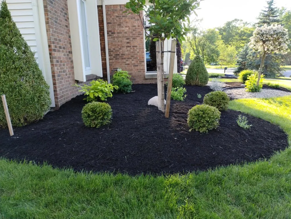 Trusted landscaping services for beautiful yards across Hamburg, NY - Pearce Pro Lawns