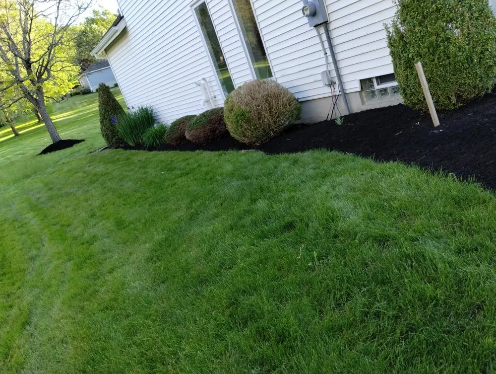 Trusted lawn care service in Hamburg, NY by Pearce Pro Lawns