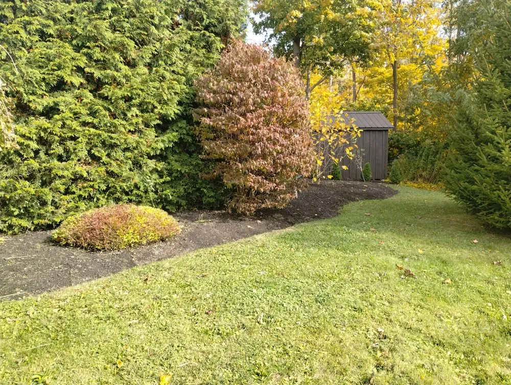 Trusted yard cleanup service for year-round maintenance in Hamburg, NY by Pearce Pro Lawns