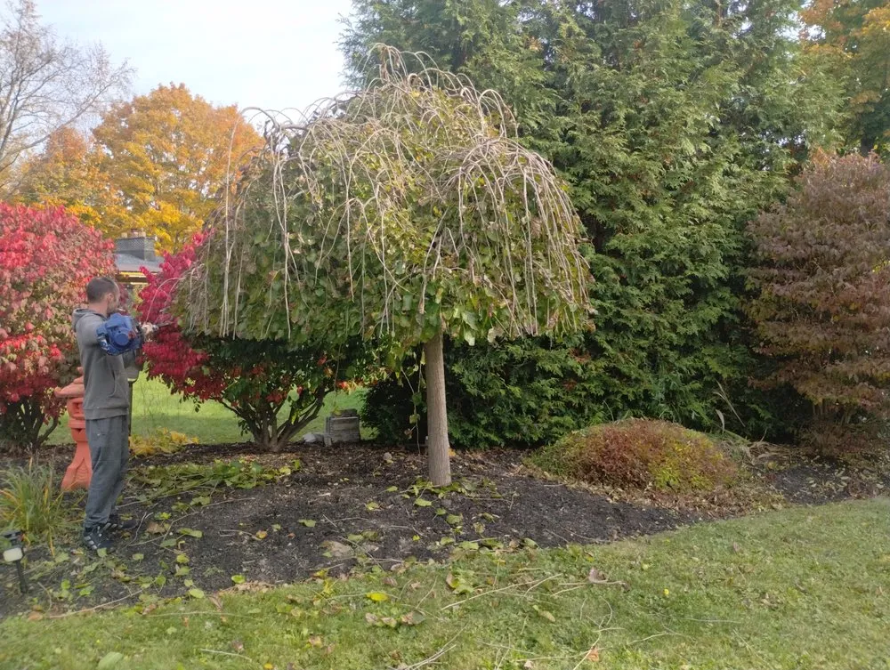 Local landscaping services experts serving Hamburg, NY - Pearce Pro Lawns