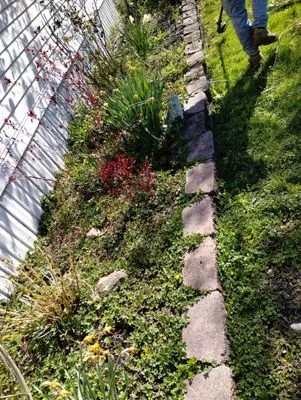 Pearce Pro Lawns Logo