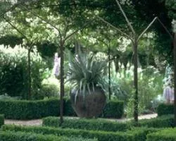 Trusted lawn care service experts serving Cypress, TX - Pearce Scapes