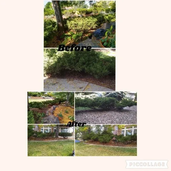 Trusted landscape installation in Lafayette, CO by Pearcy's Landscaping & Lawn services