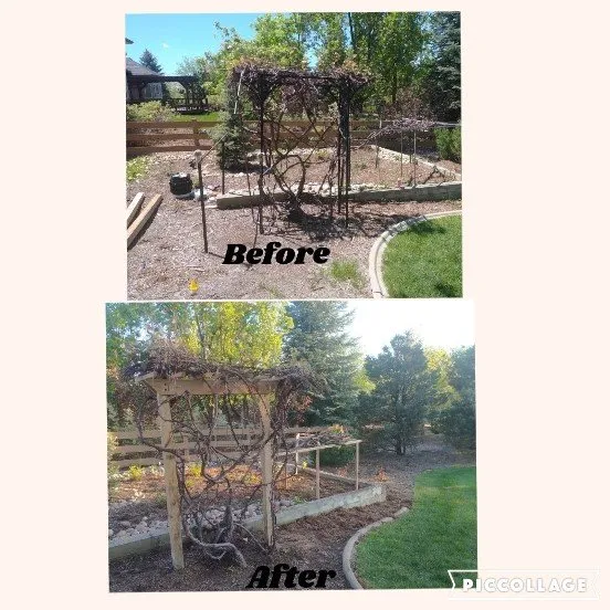 Reliable outdoor landscaping experts serving Lafayette, CO - Pearcy's Landscaping & Lawn services