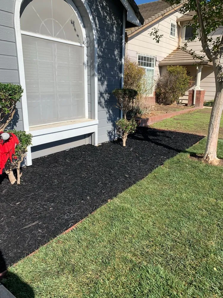 Reliable landscape design experts serving Sacramento, CA - Pearl Landscaping