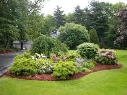 Trusted yard maintenance for residential properties in Pearland, TX by Pearland Landscaping