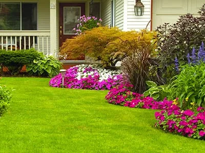 Professional lawn care service experts serving Pearland, TX - Pearland Landscaping