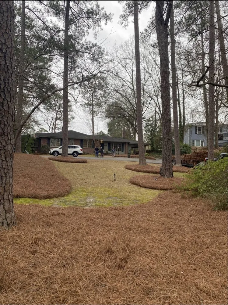 Professional landscaping services in Columbia, SC by Pearls landscaping & janitorial services llc