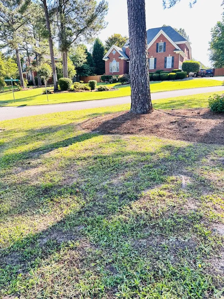 Trusted garden landscaping experts serving Columbia, SC - Pearls landscaping & janitorial services llc