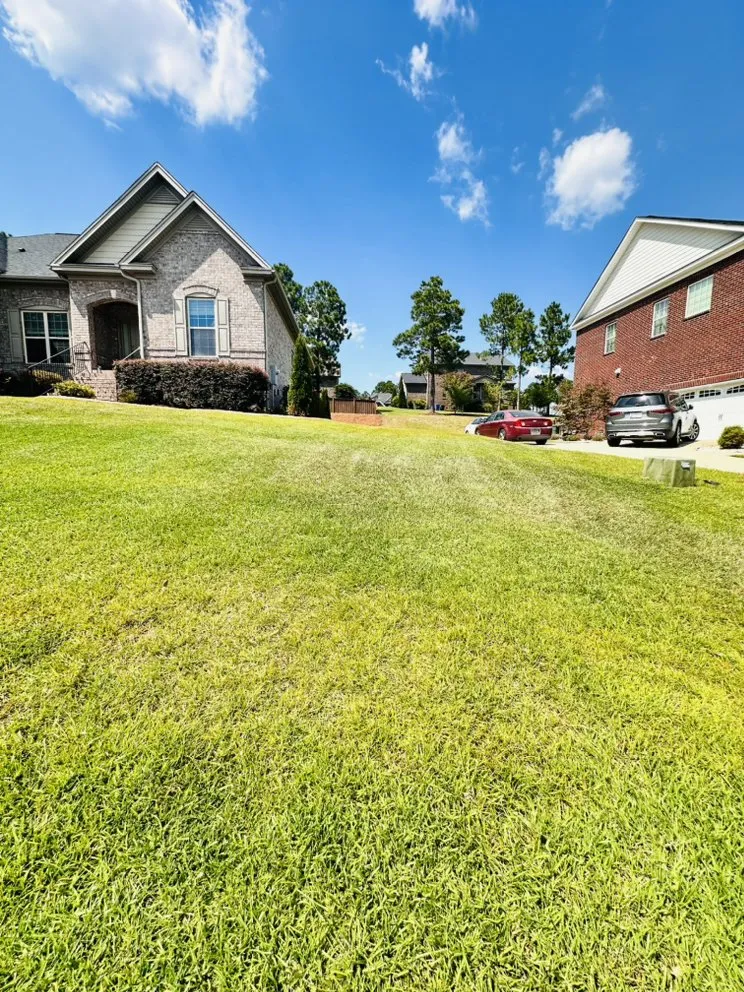 Reliable yard maintenance for outdoor upgrades across Columbia, SC - Pearls landscaping & janitorial services llc