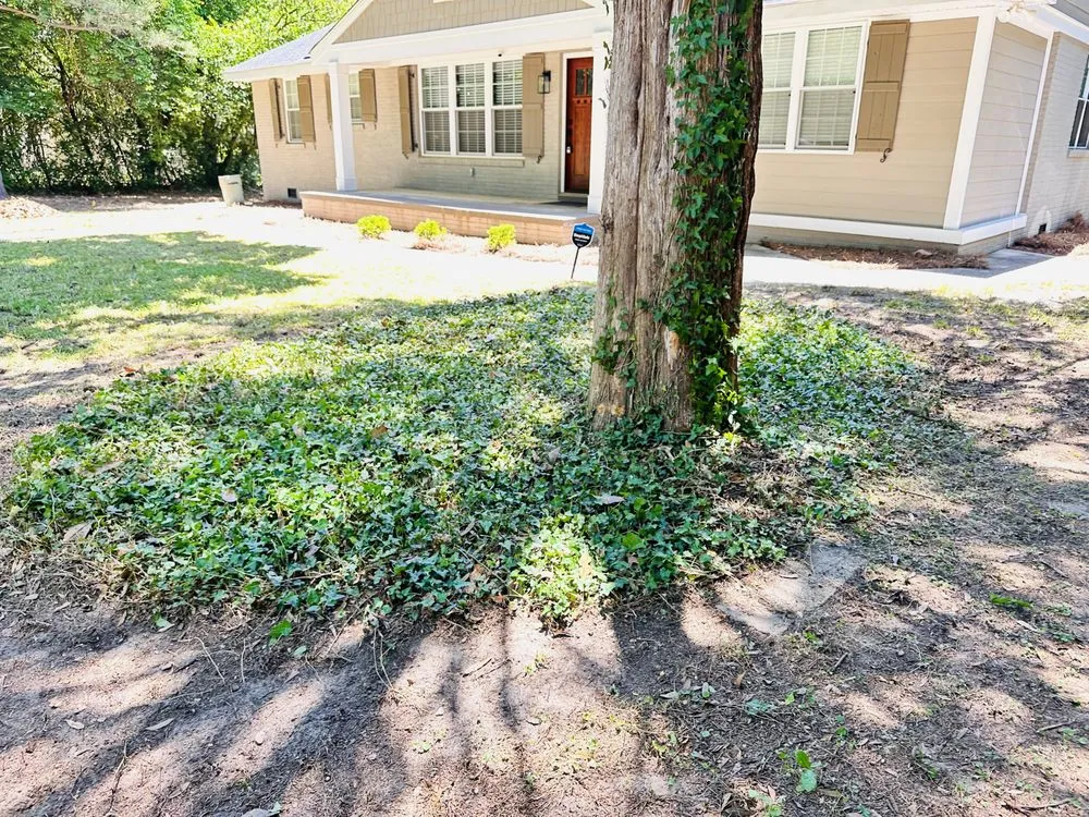 Custom lawn care service for year-round maintenance in Columbia, SC by Pearls landscaping & janitorial services llc