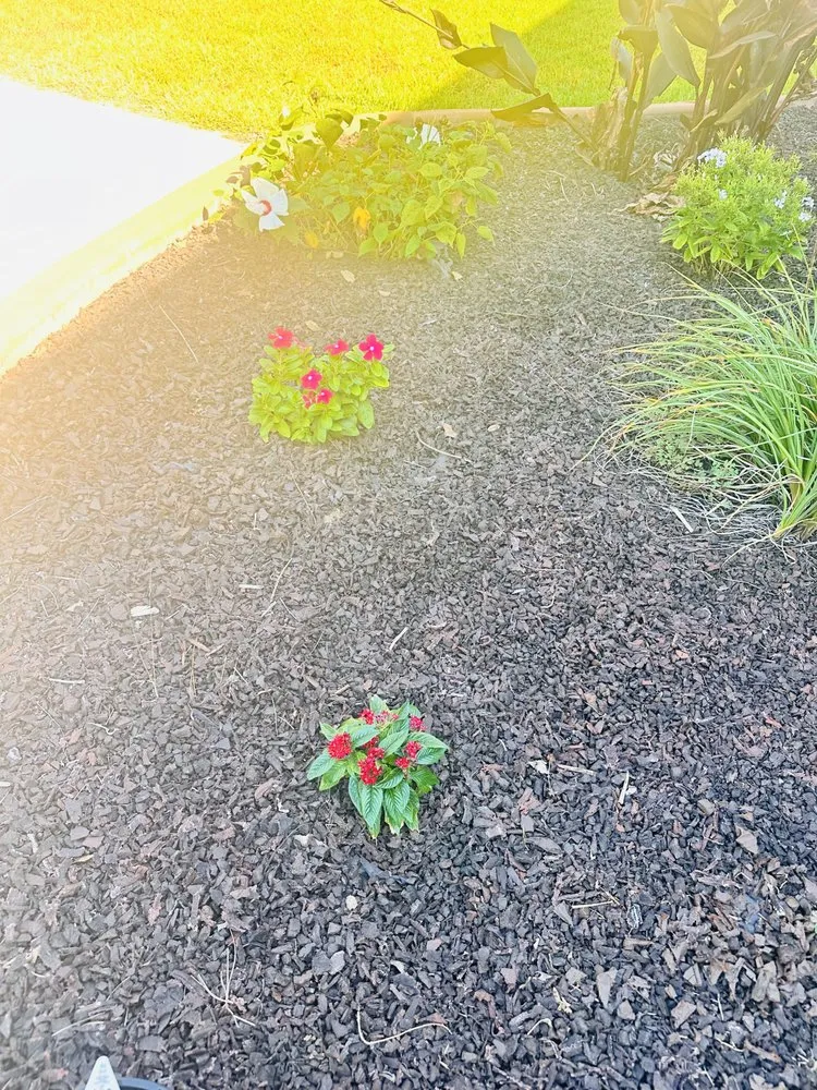 Affordable landscape design experts serving Columbia, SC - Pearls landscaping & janitorial services llc