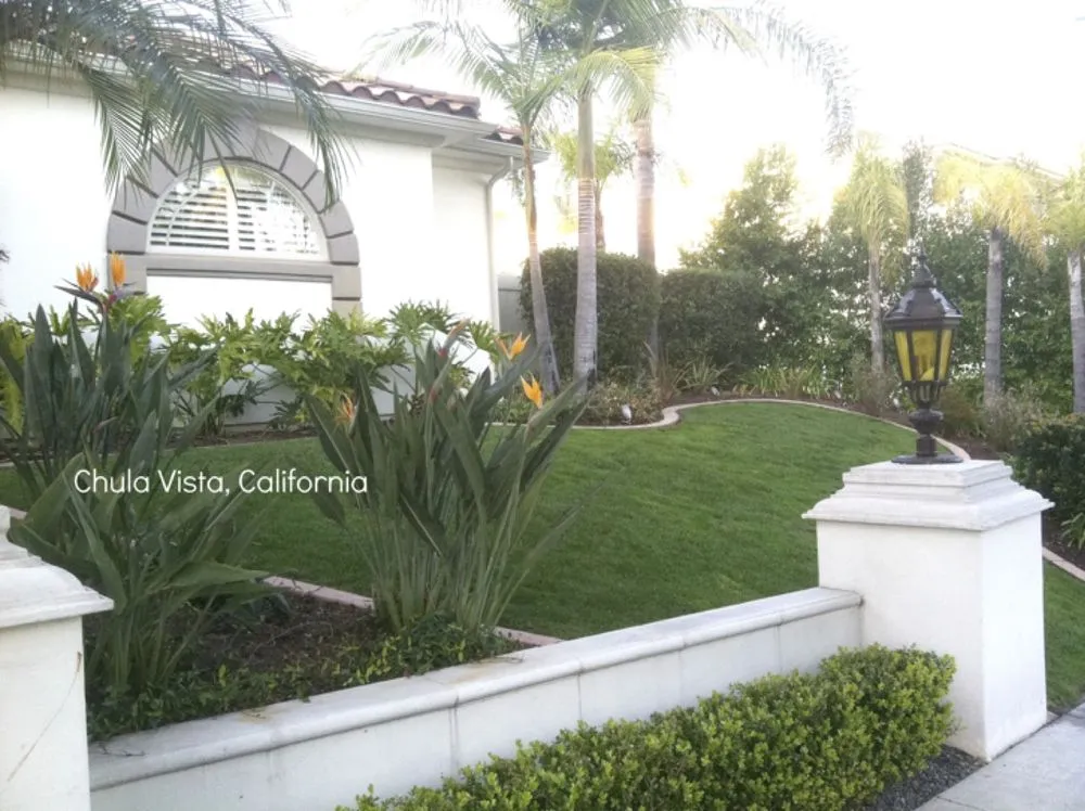 Custom yard cleanup service for beautiful yards across WAYLAND, MA - Pearls Premium Ultra Low Maintenance Lawn Seed