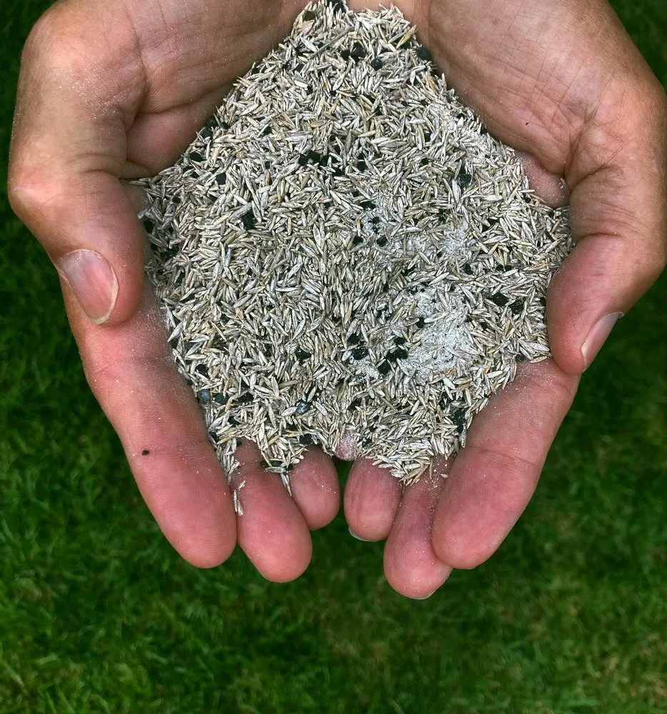 Expert lawn mowing service in WAYLAND, MA - Pearls Premium Ultra Low Maintenance Lawn Seed