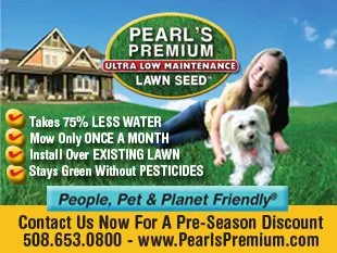 Reliable landscaping services for beautiful yards in WAYLAND, MA by Pearls Premium Ultra Low Maintenance Lawn Seed