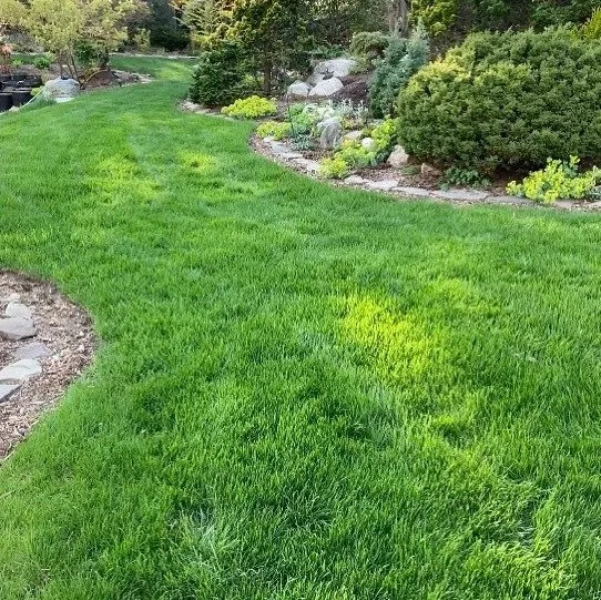 Reliable garden landscaping for outdoor upgrades in WAYLAND, MA by Pearls Premium Ultra Low Maintenance Lawn Seed