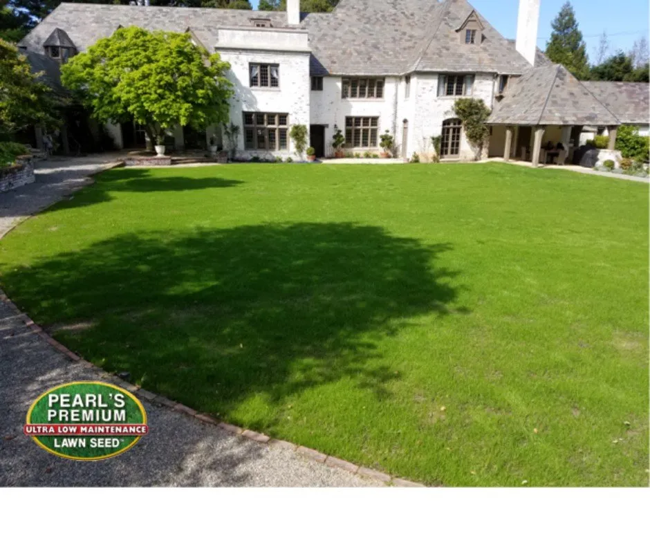 Trusted lawn mowing service in WAYLAND, MA by Pearls Premium Ultra Low Maintenance Lawn Seed