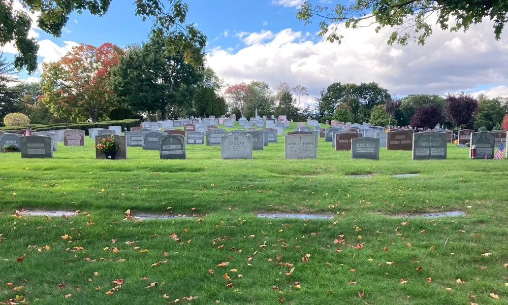 Local outdoor landscaping for beautiful yards in WAYLAND, MA by Pearls Premium Ultra Low Maintenance Lawn Seed