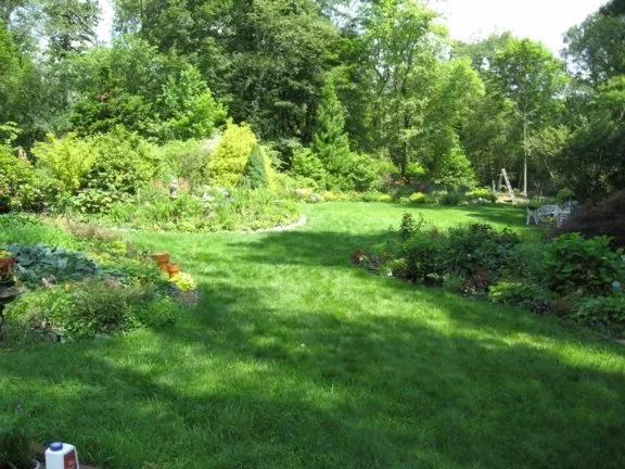 Local landscaping services in WAYLAND, MA - Pearls Premium Ultra Low Maintenance Lawn Seed