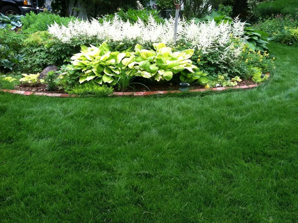 Reliable yard maintenance experts serving WAYLAND, MA - Pearls Premium Ultra Low Maintenance Lawn Seed