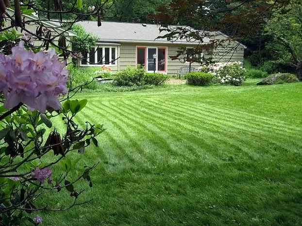 Trusted lawn mowing service for beautiful yards across WAYLAND, MA - Pearls Premium Ultra Low Maintenance Lawn Seed