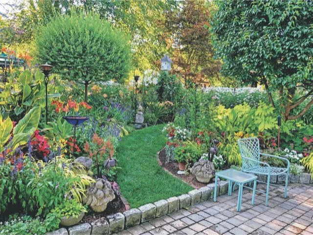 Professional yard cleanup service experts serving WAYLAND, MA - Pearls Premium Ultra Low Maintenance Lawn Seed